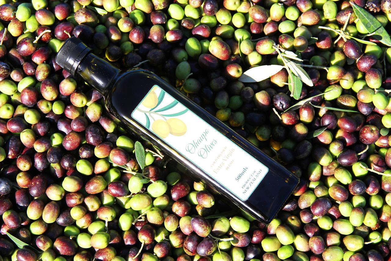 Ohaupo Olives Bed and Breakfast Esterno foto
