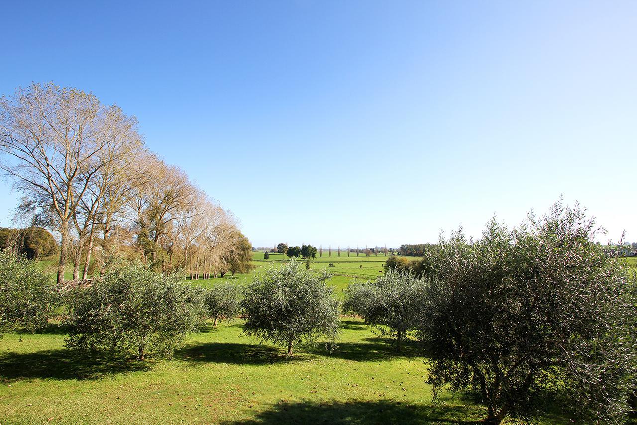 Ohaupo Olives Bed and Breakfast Esterno foto